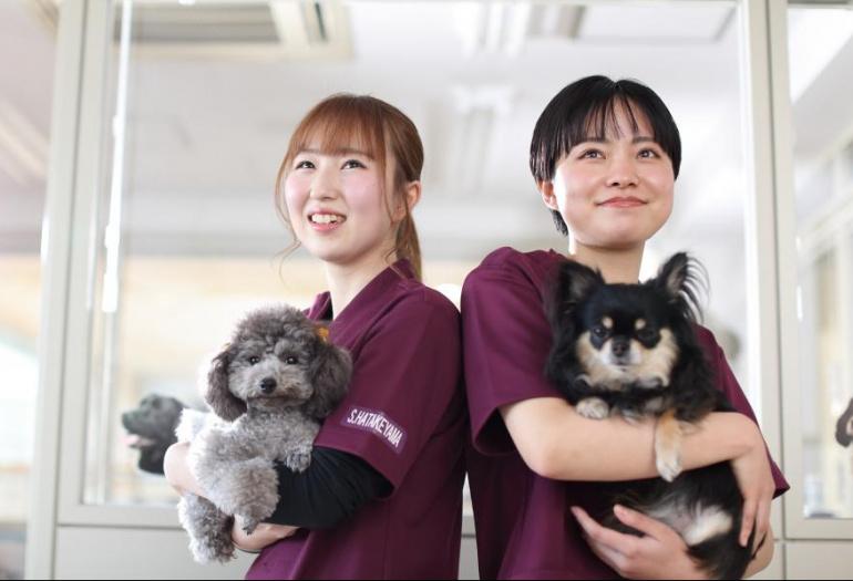 吉田学園動物看護専門学校