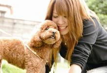 京都動物専門学校