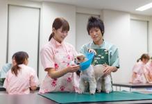 ヤマザキ動物専門学校