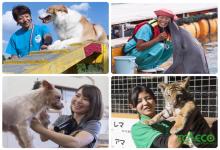 TCA東京ECO動物海洋専門学校(認可申請中/2021年4月開校予定)