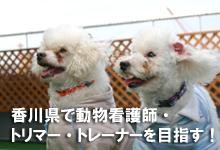 専門学校穴吹動物看護カレッジ
